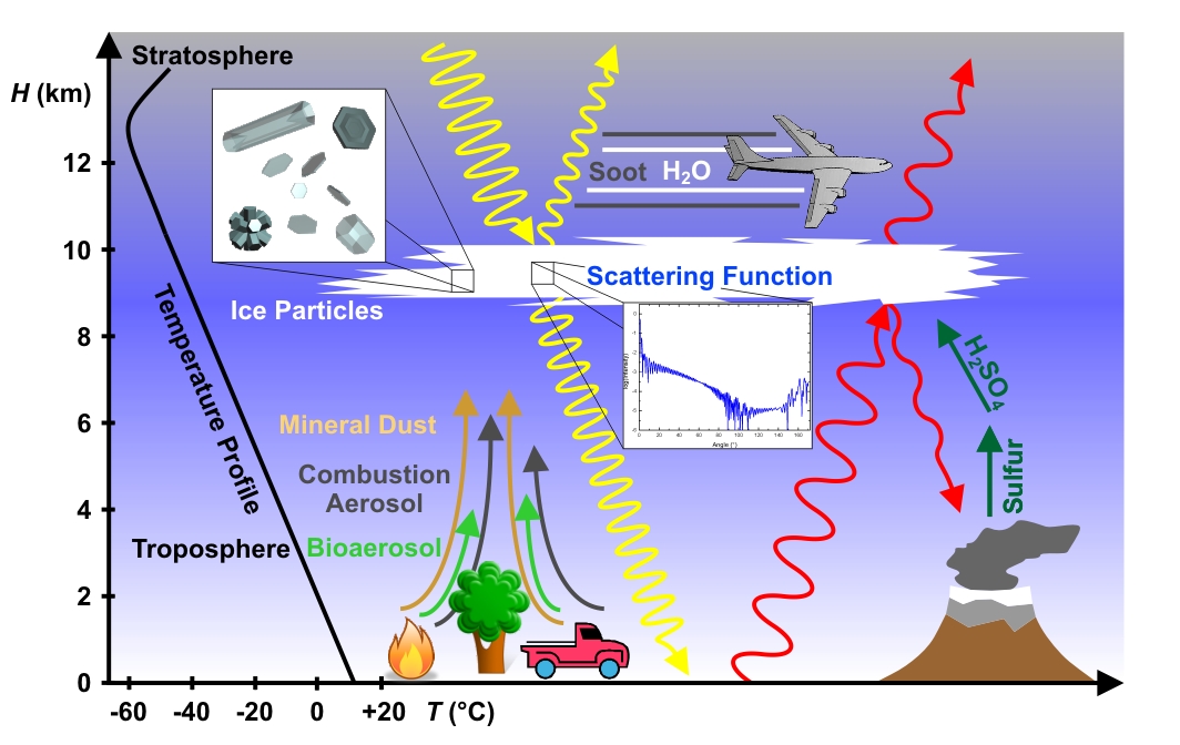 Cirrus microphysics and optics